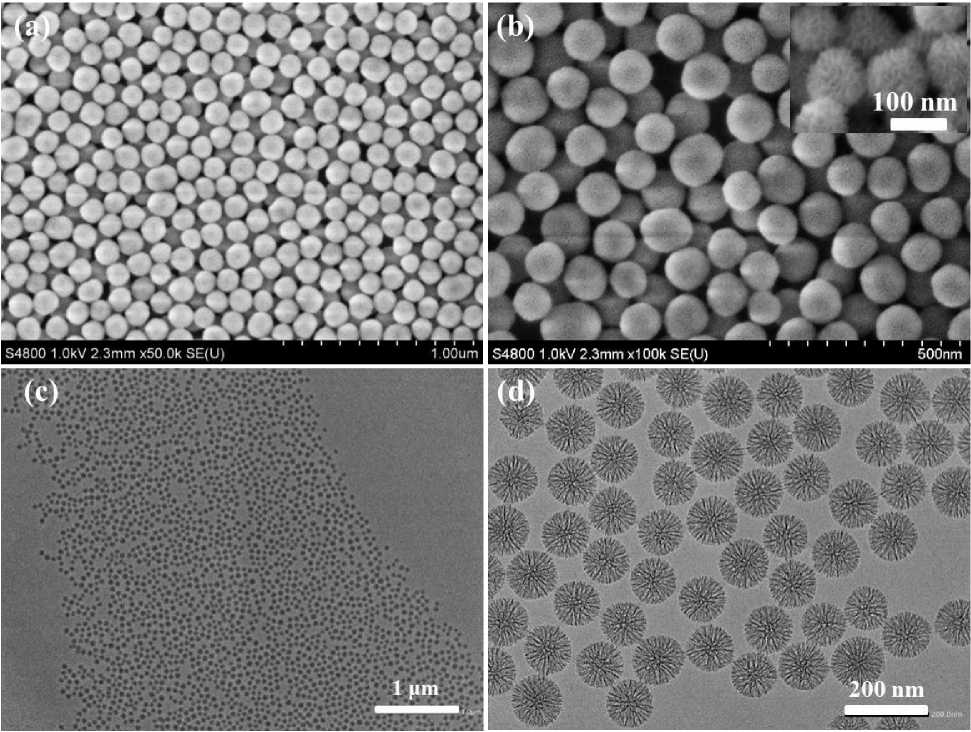 水凝胶 纳米医学 生物纳米材料 北科纳米 纳米递送系统 纳米酶 纳米微球