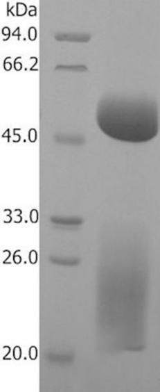 图片29.jpg 图片29.jpg